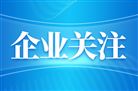 东阳光集团到访云铝股份 共探铝基新材料协同发展新机遇