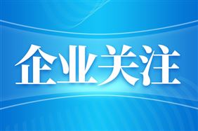 东阳光集团到访云铝股份 共探铝基新材料协同发展新机遇